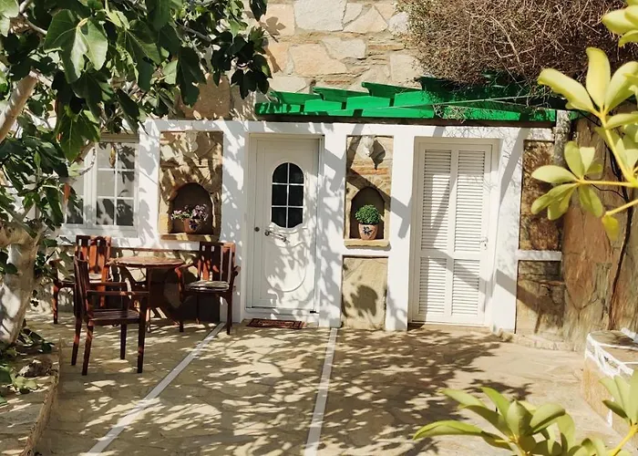 The Fig Tree